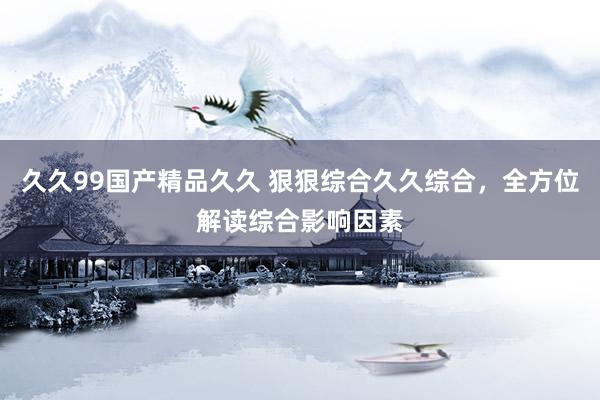 久久99国产精品久久 狠狠综合久久综合，全方位解读综合影响因素