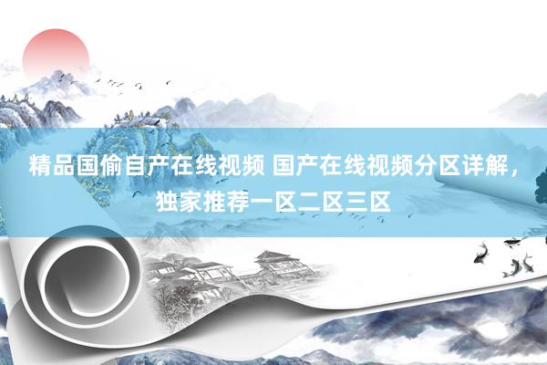 精品国偷自产在线视频 国产在线视频分区详解，独家推荐一区二区三区